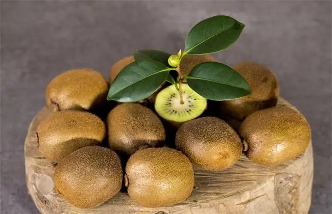 奇异果有其独特的口感 奇异果是一种独特的水果,它有着鲜艳的外表和