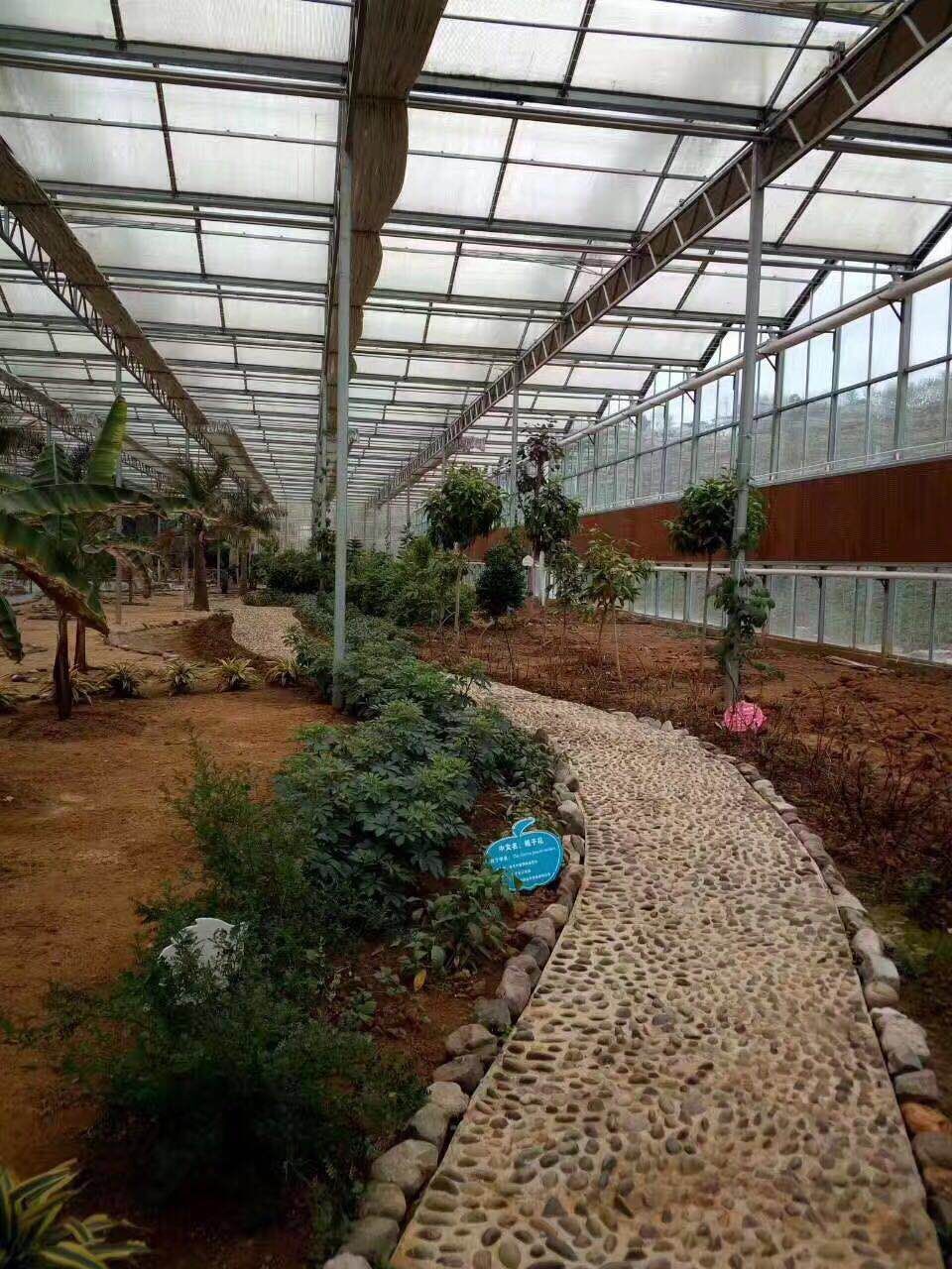 数字大棚：科技引领现代农业新篇章