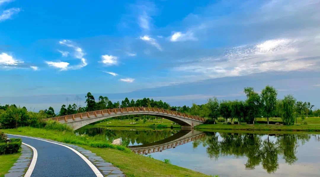 成都白鹤滩国家湿地公园介绍|观鸟胜地06 成都的白鹤滩国家湿地公园