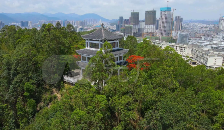 燕子岭生态公园,大自然隐藏的宝石 燕子岭生态公园可是一个宝藏之地