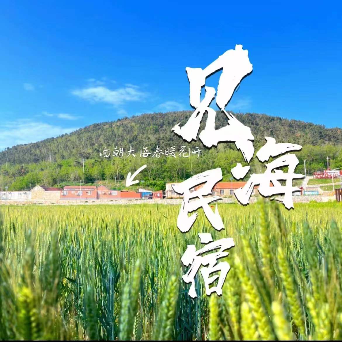 大黑山岛民宿图片