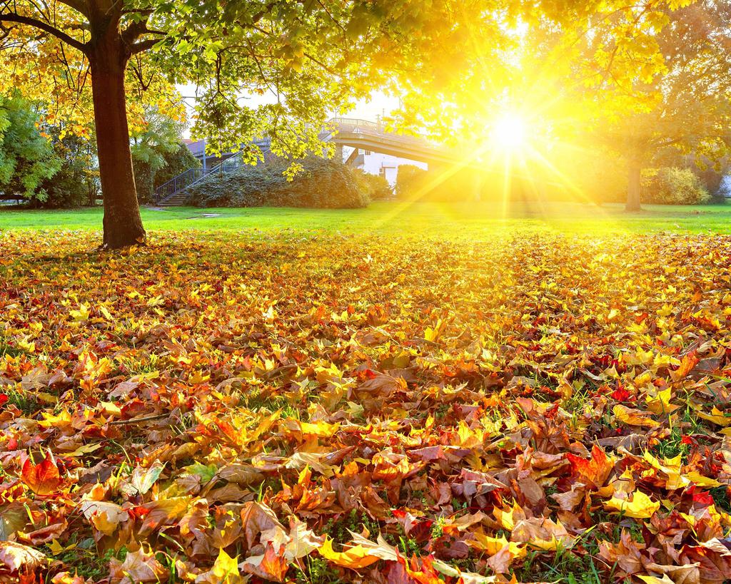 天下难事,必作于易;天下大事,必作于细 在这个世