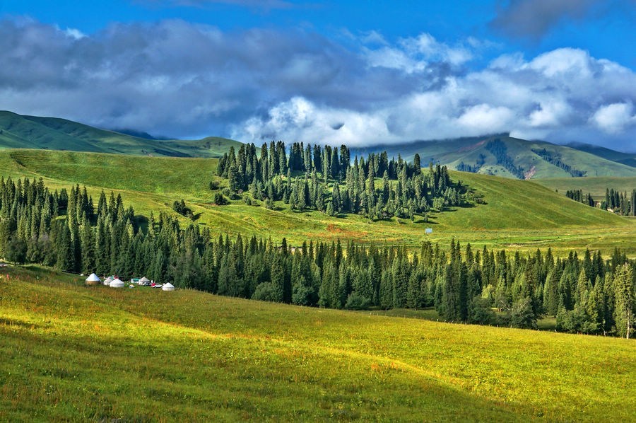 99探索百里画廊,唐布拉草原攻略来啦!