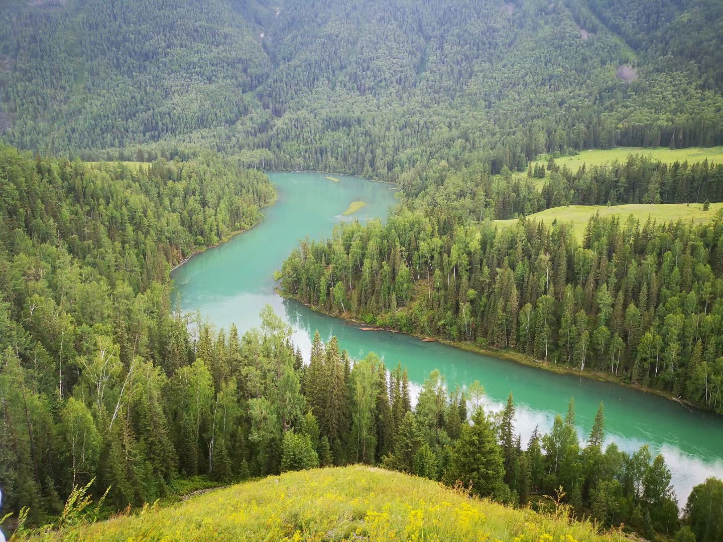 新疆喀纳斯三湾美景 新疆61阿勒泰61喀纳斯三湾         喀纳斯