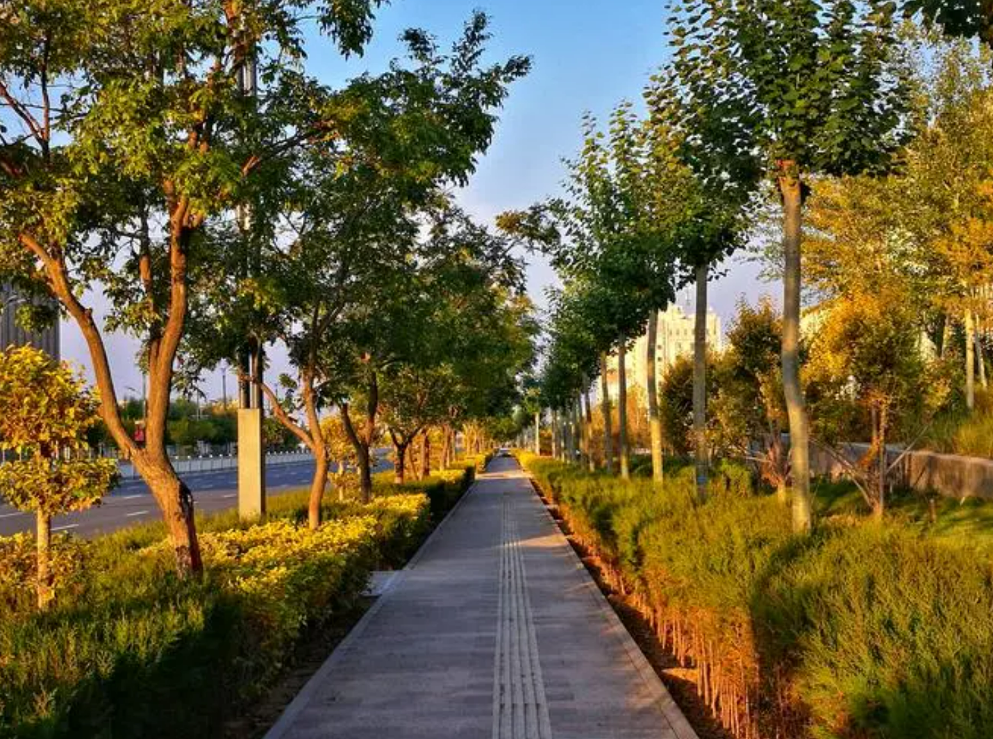 清晨,朝阳破晓,宁静而又清新.