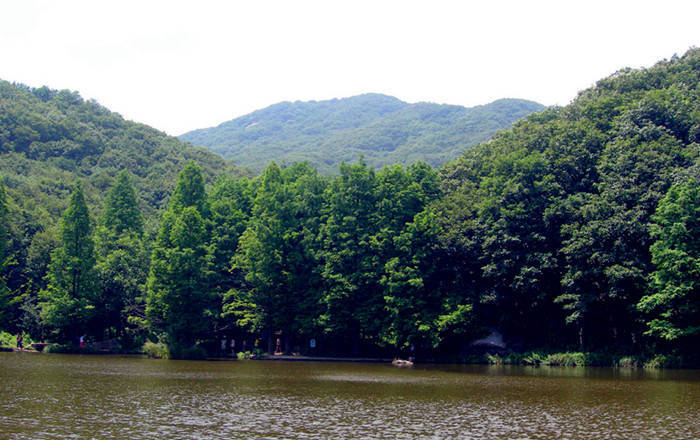 洛阳嵩县天池山图片