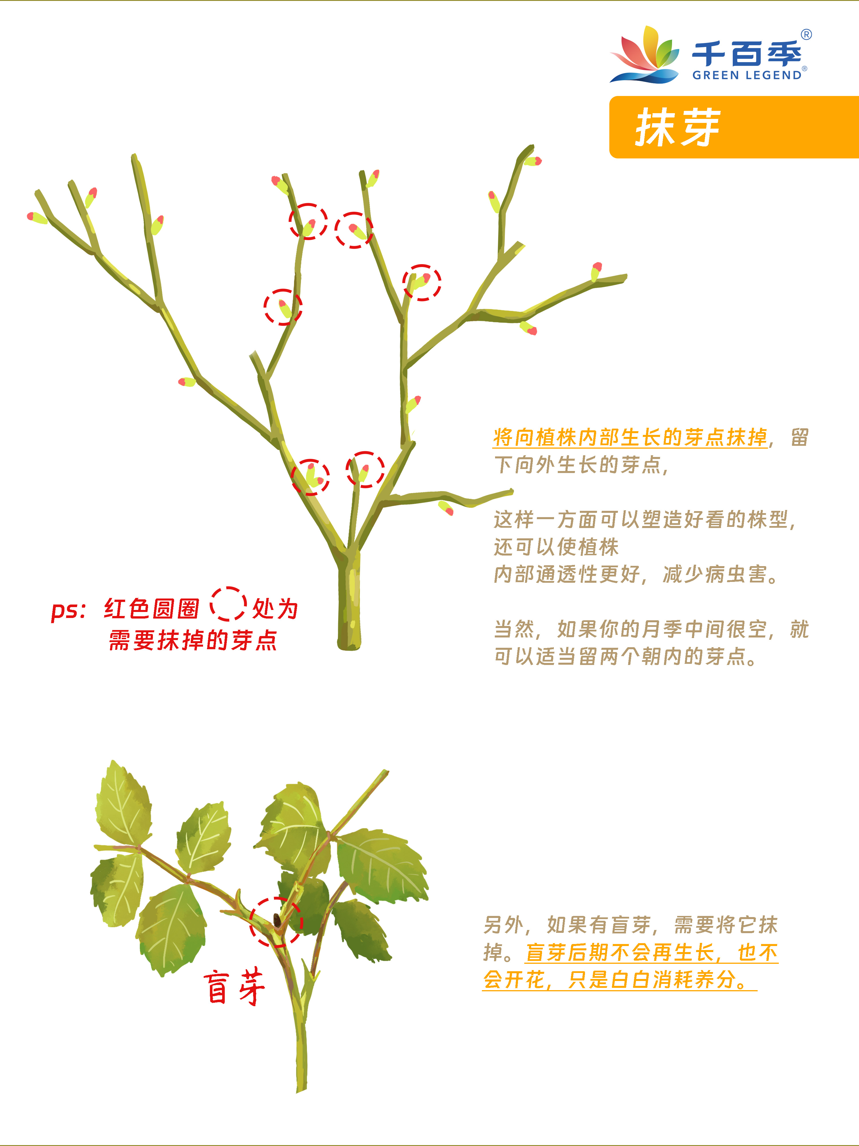 花树修剪技术图解图片